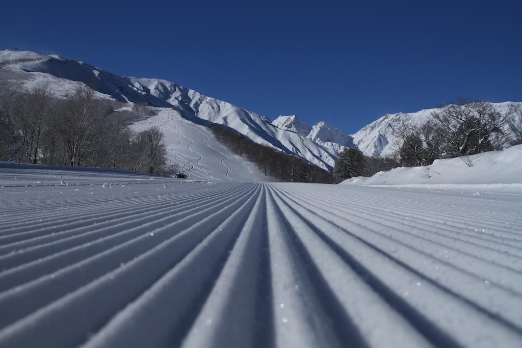 Hotel Oak Forest Hakuba Exterior foto